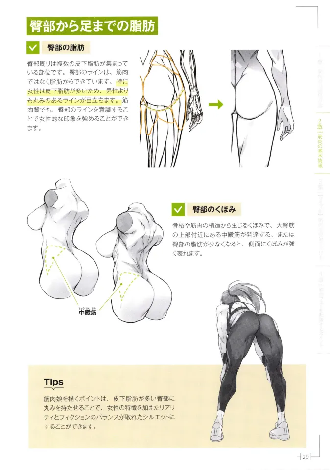 How to Draw a Muscular Girls for the First Time - Master the Key Muscle Points - Image 33