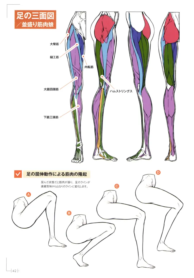 How to Draw a Muscular Girls for the First Time - Master the Key Muscle Points - Image 46