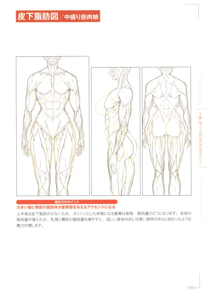 How to Draw a Muscular Girls for the First Time - Master the Key Muscle Points - Image 63