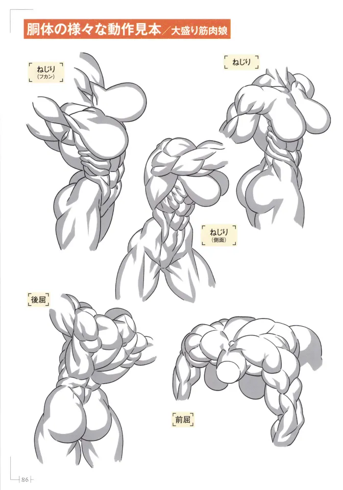 How to Draw a Muscular Girls for the First Time - Master the Key Muscle Points - Image 90