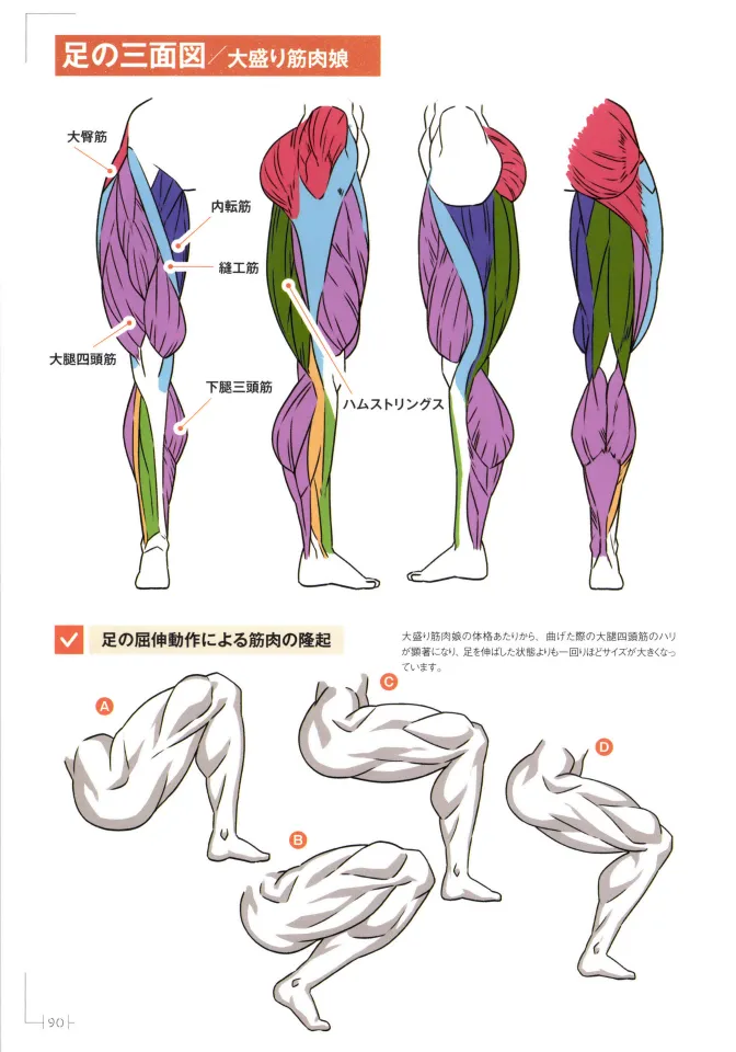 How to Draw a Muscular Girls for the First Time - Master the Key Muscle Points - Image 94