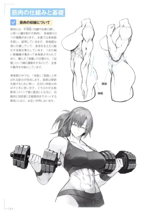 How to Draw a Muscular Girls for the First Time - Master the Key Muscle Points - Page 10