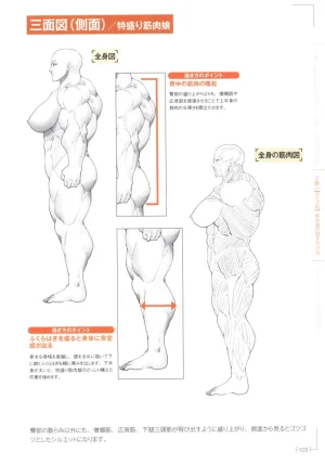 How to Draw a Muscular Girls for the First Time - Master the Key Muscle Points - Page 109