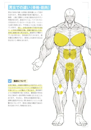 How to Draw a Muscular Girls for the First Time - Master the Key Muscle Points - Page 11