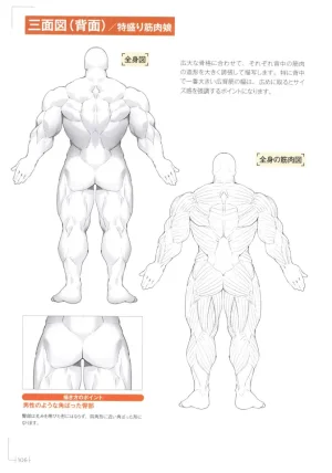 How to Draw a Muscular Girls for the First Time - Master the Key Muscle Points - Page 110