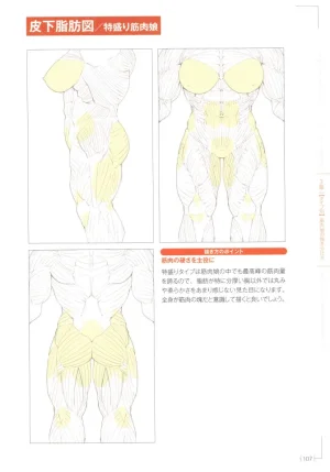 How to Draw a Muscular Girls for the First Time - Master the Key Muscle Points - Page 111