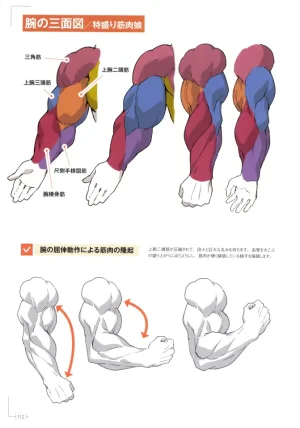 How to Draw a Muscular Girls for the First Time - Master the Key Muscle Points - Page 116