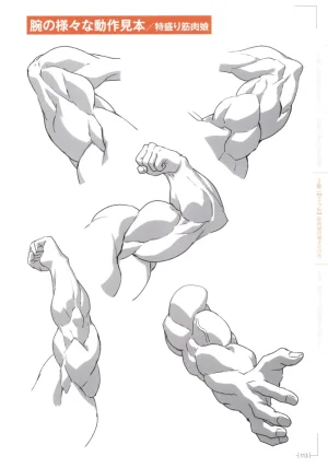 How to Draw a Muscular Girls for the First Time - Master the Key Muscle Points - Page 117