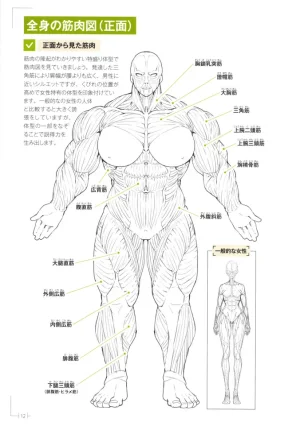 How to Draw a Muscular Girls for the First Time - Master the Key Muscle Points - Page 16
