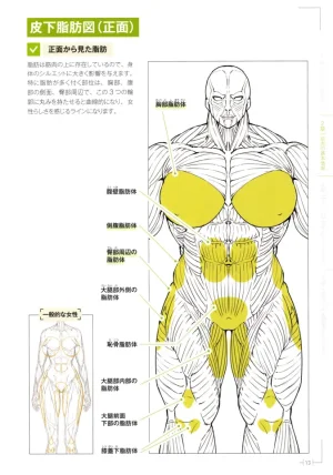 How to Draw a Muscular Girls for the First Time - Master the Key Muscle Points - Page 17