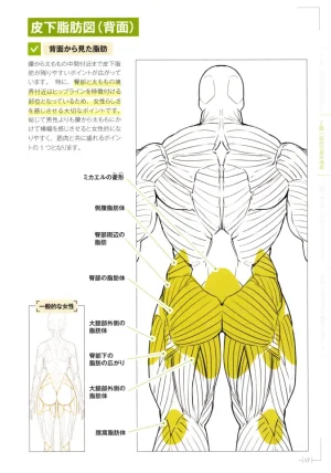 How to Draw a Muscular Girls for the First Time - Master the Key Muscle Points - Page 21
