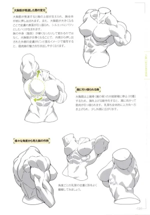 How to Draw a Muscular Girls for the First Time - Master the Key Muscle Points - Page 25