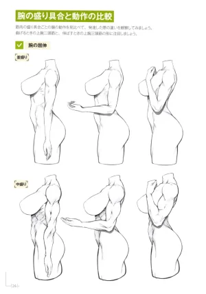 How to Draw a Muscular Girls for the First Time - Master the Key Muscle Points - Page 30