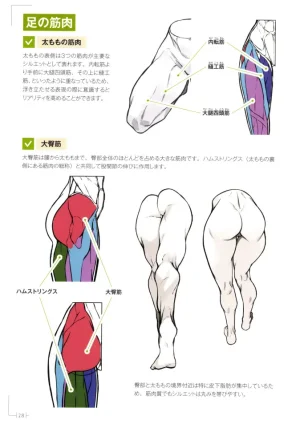 How to Draw a Muscular Girls for the First Time - Master the Key Muscle Points - Page 32