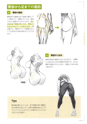 How to Draw a Muscular Girls for the First Time - Master the Key Muscle Points - Page 33