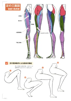 How to Draw a Muscular Girls for the First Time - Master the Key Muscle Points - Page 46
