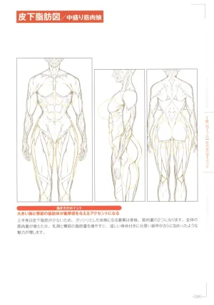 How to Draw a Muscular Girls for the First Time - Master the Key Muscle Points - Page 63