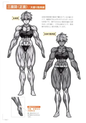 How to Draw a Muscular Girls for the First Time - Master the Key Muscle Points - Page 84