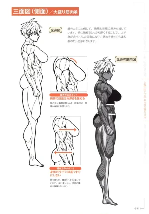 How to Draw a Muscular Girls for the First Time - Master the Key Muscle Points - Page 85