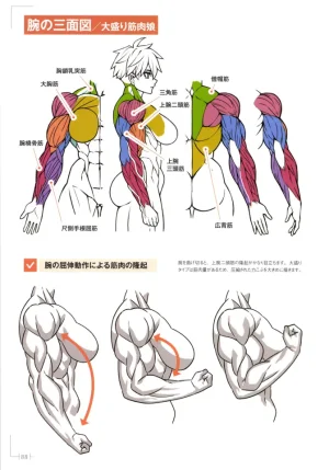 How to Draw a Muscular Girls for the First Time - Master the Key Muscle Points - Page 92