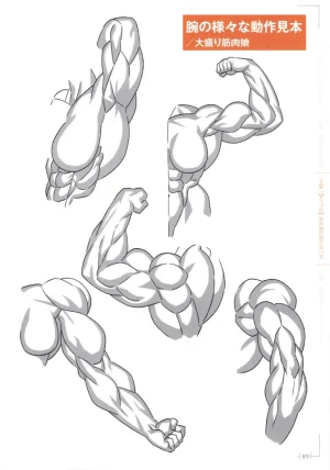How to Draw a Muscular Girls for the First Time - Master the Key Muscle Points - Page 93