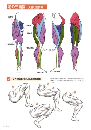 How to Draw a Muscular Girls for the First Time - Master the Key Muscle Points - Page 94