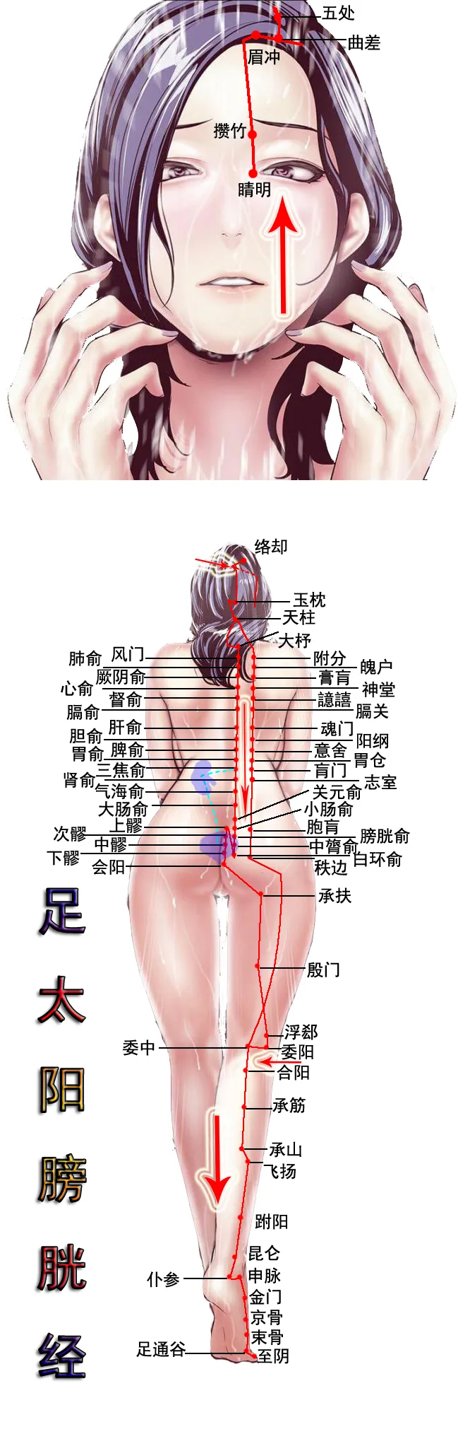 Human Meridian Chart - Image 7