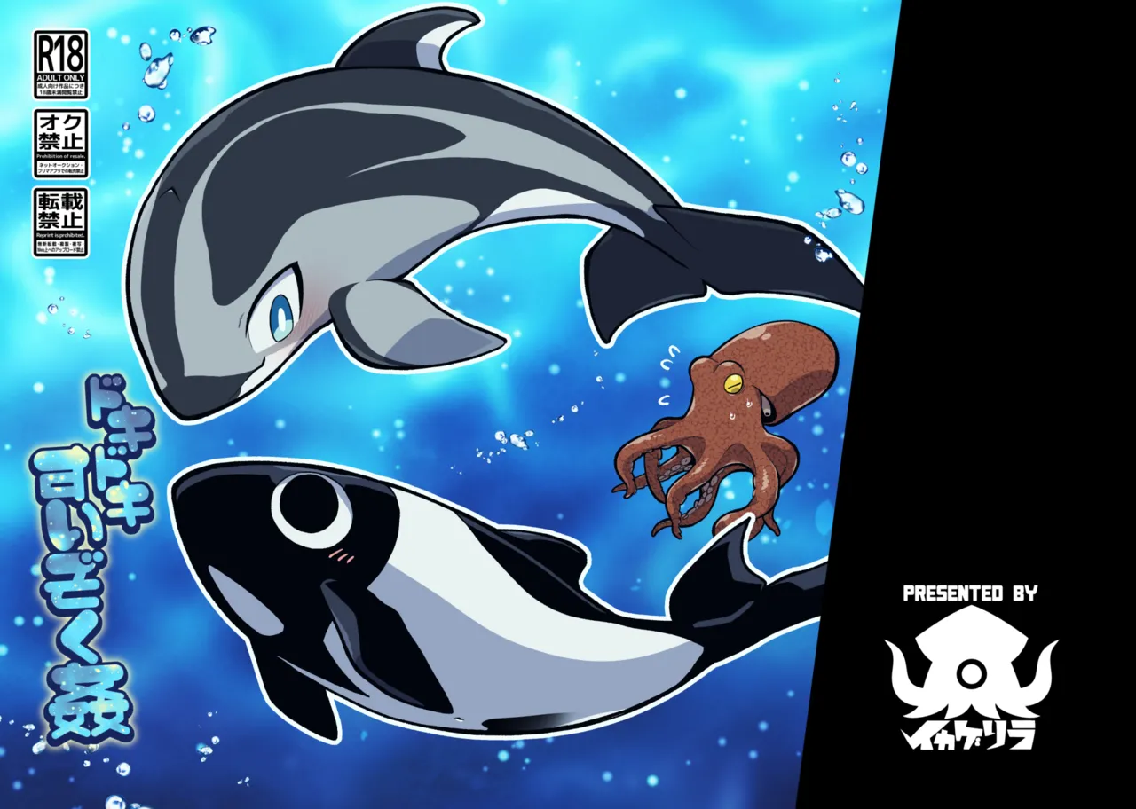 Ika Guerrilla Kageyama Dokidoki Suizokukan English - Image 1