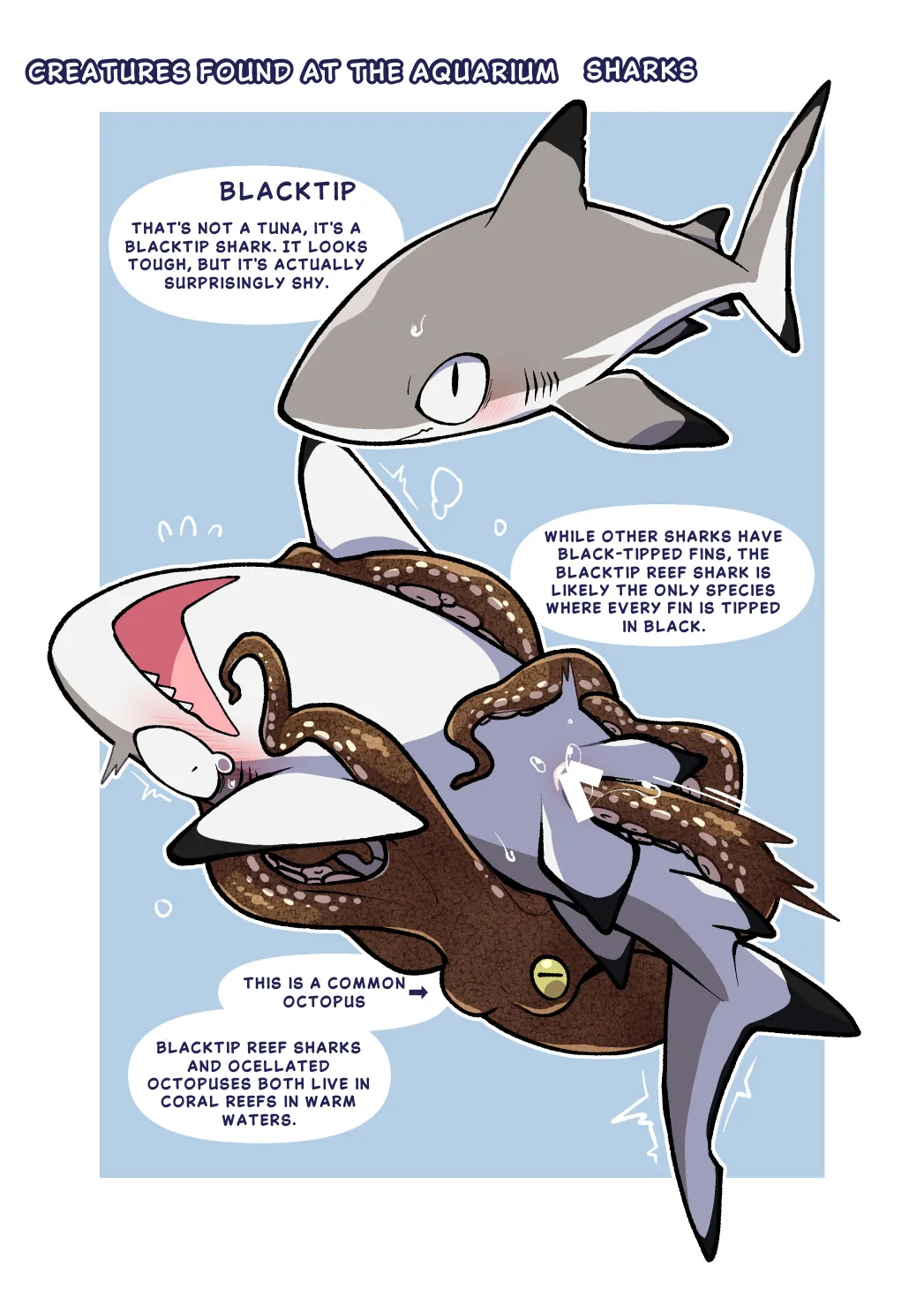 Ika Guerrilla Kageyama Dokidoki Suizokukan English - Image 12