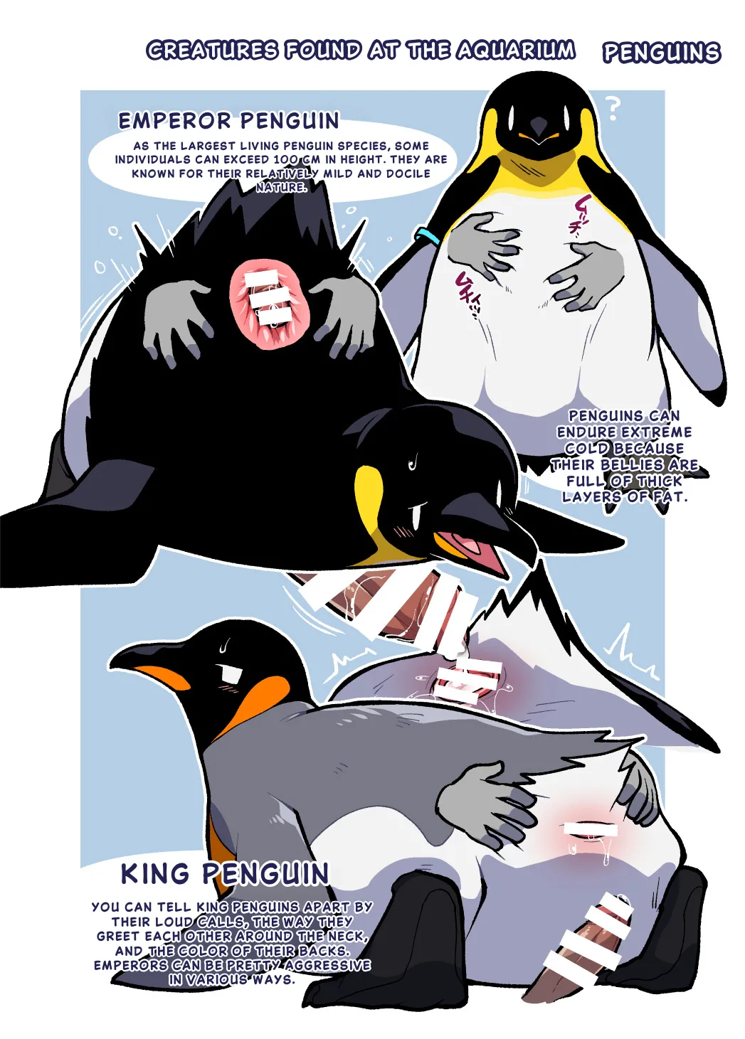 Ika Guerrilla Kageyama Dokidoki Suizokukan English - Image 13