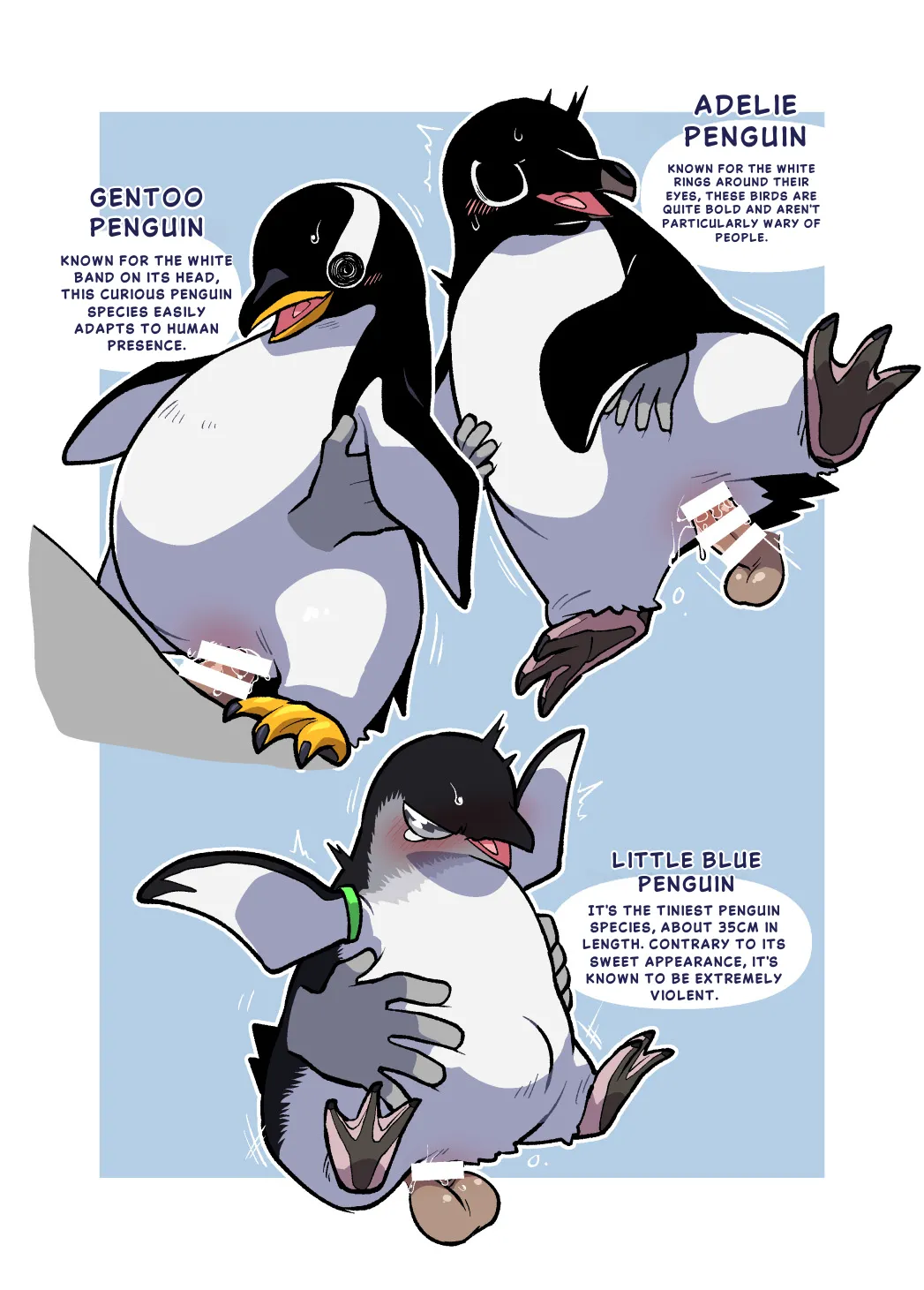 Ika Guerrilla Kageyama Dokidoki Suizokukan English - Image 14