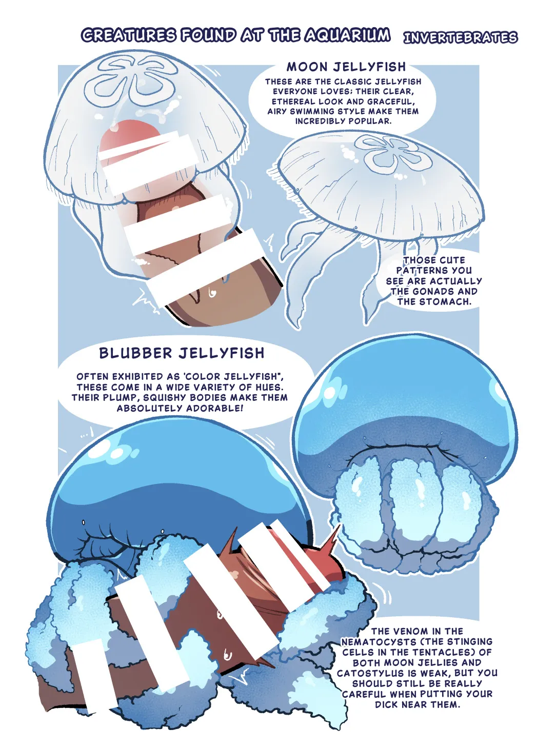 Ika Guerrilla Kageyama Dokidoki Suizokukan English - Image 15