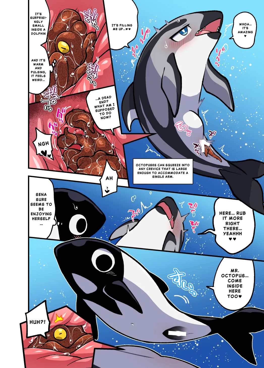 Ika Guerrilla Kageyama Dokidoki Suizokukan English - Image 5