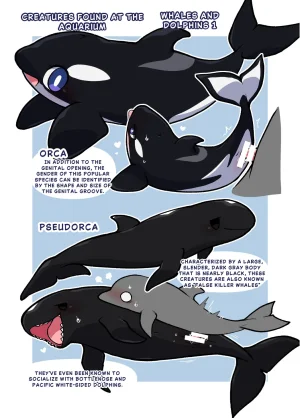 Ika Guerrilla Kageyama Dokidoki Suizokukan English - Page 10