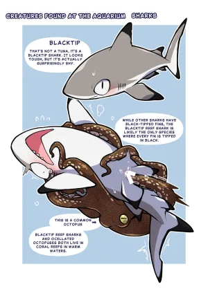 Ika Guerrilla Kageyama Dokidoki Suizokukan English - Page 12