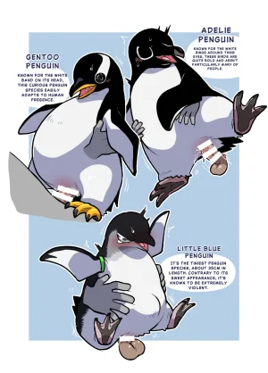 Ika Guerrilla Kageyama Dokidoki Suizokukan English - Page 14