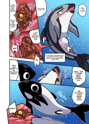 Ika Guerrilla Kageyama Dokidoki Suizokukan English - Page 5