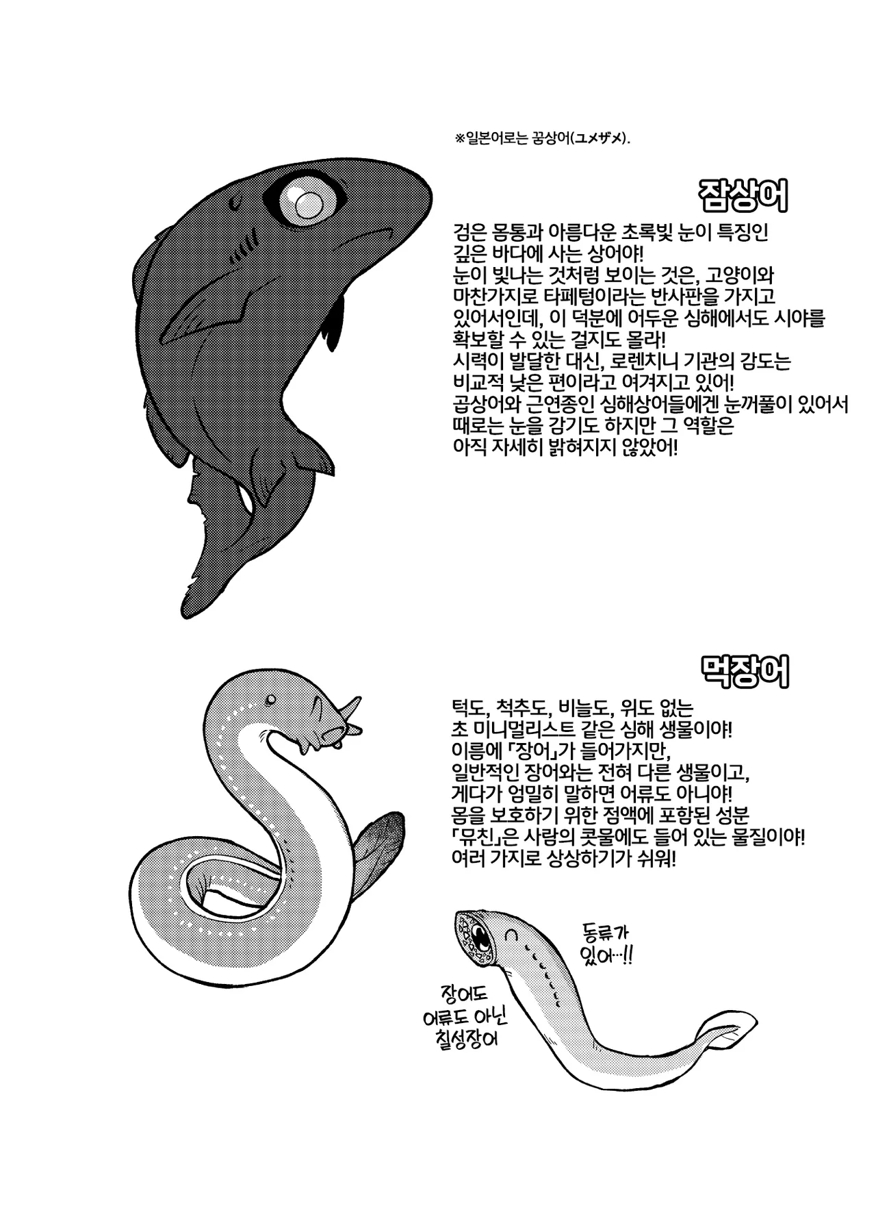 Ika Guerrilla Kageyama SHARKLEWD Korean LWND Digital - Image 17
