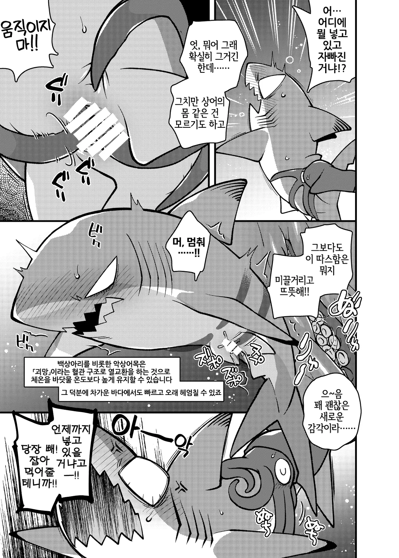 Ika Guerrilla Kageyama SHARKLEWD Korean LWND Digital - Image 20