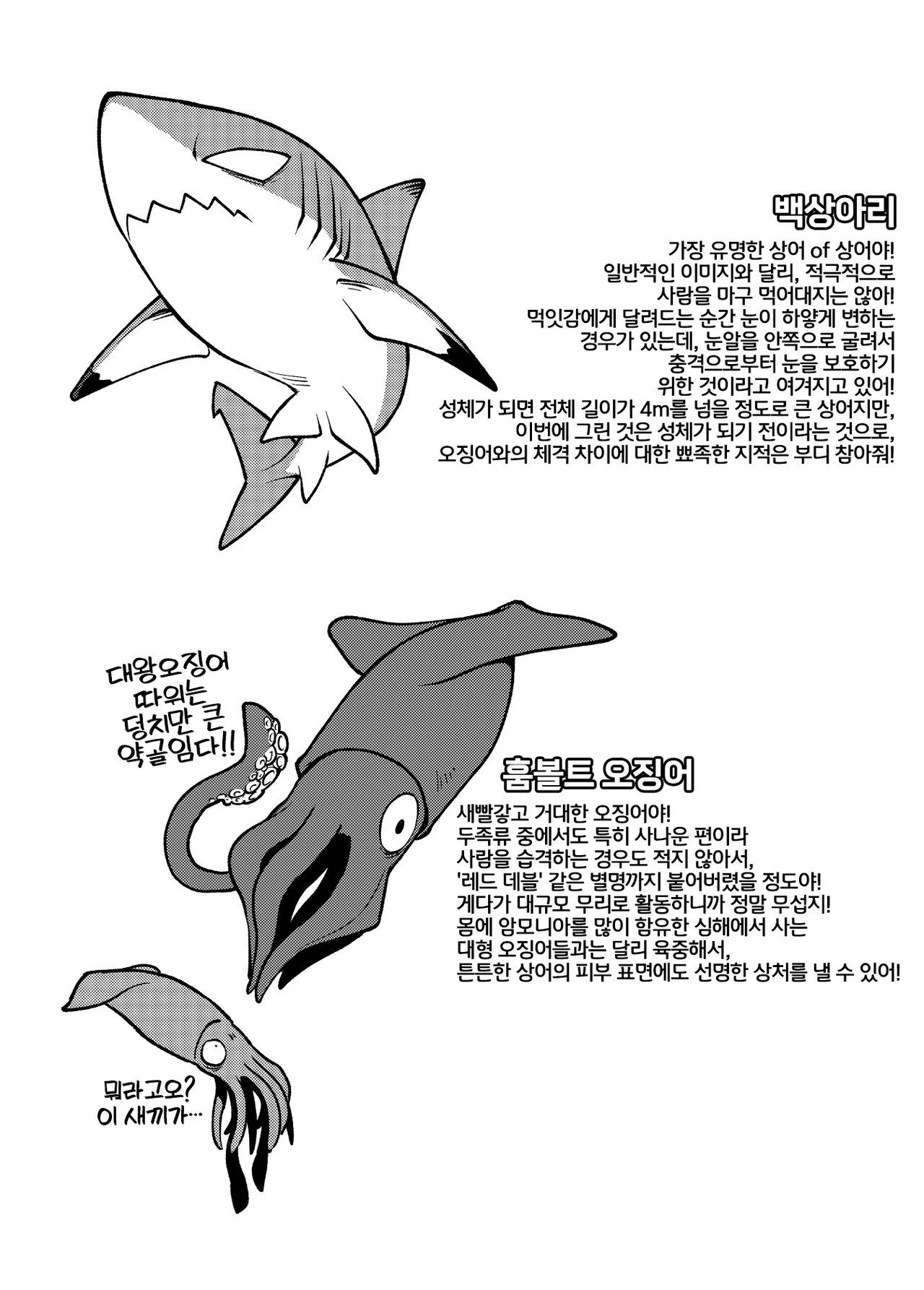 Ika Guerrilla Kageyama SHARKLEWD Korean LWND Digital - Image 24