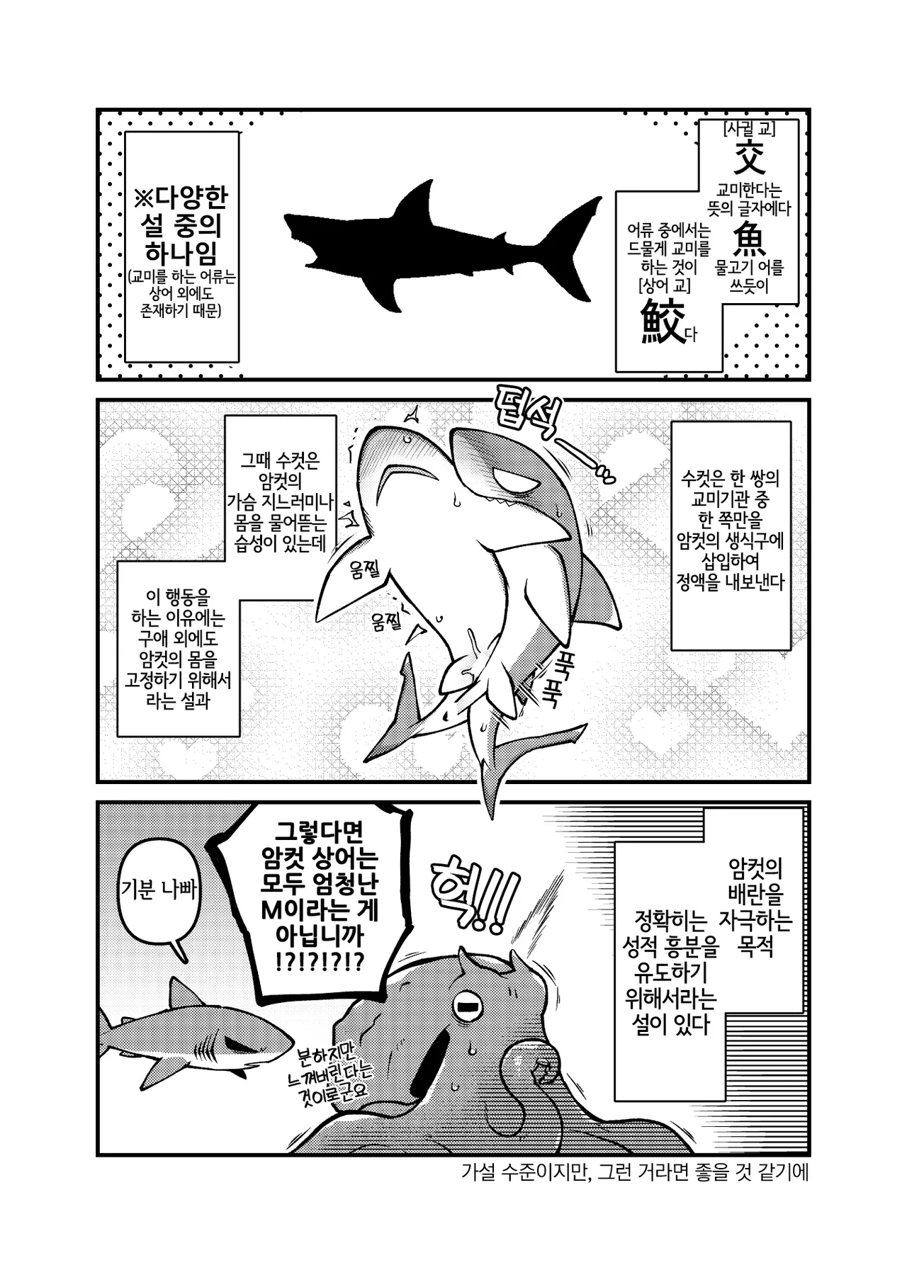 Ika Guerrilla Kageyama SHARKLEWD Korean LWND Digital - Image 4