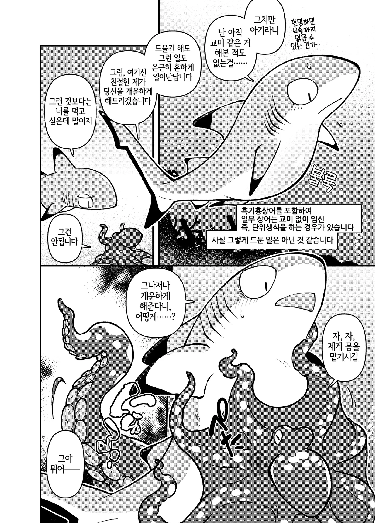 Ika Guerrilla Kageyama SHARKLEWD Korean LWND Digital - Image 7