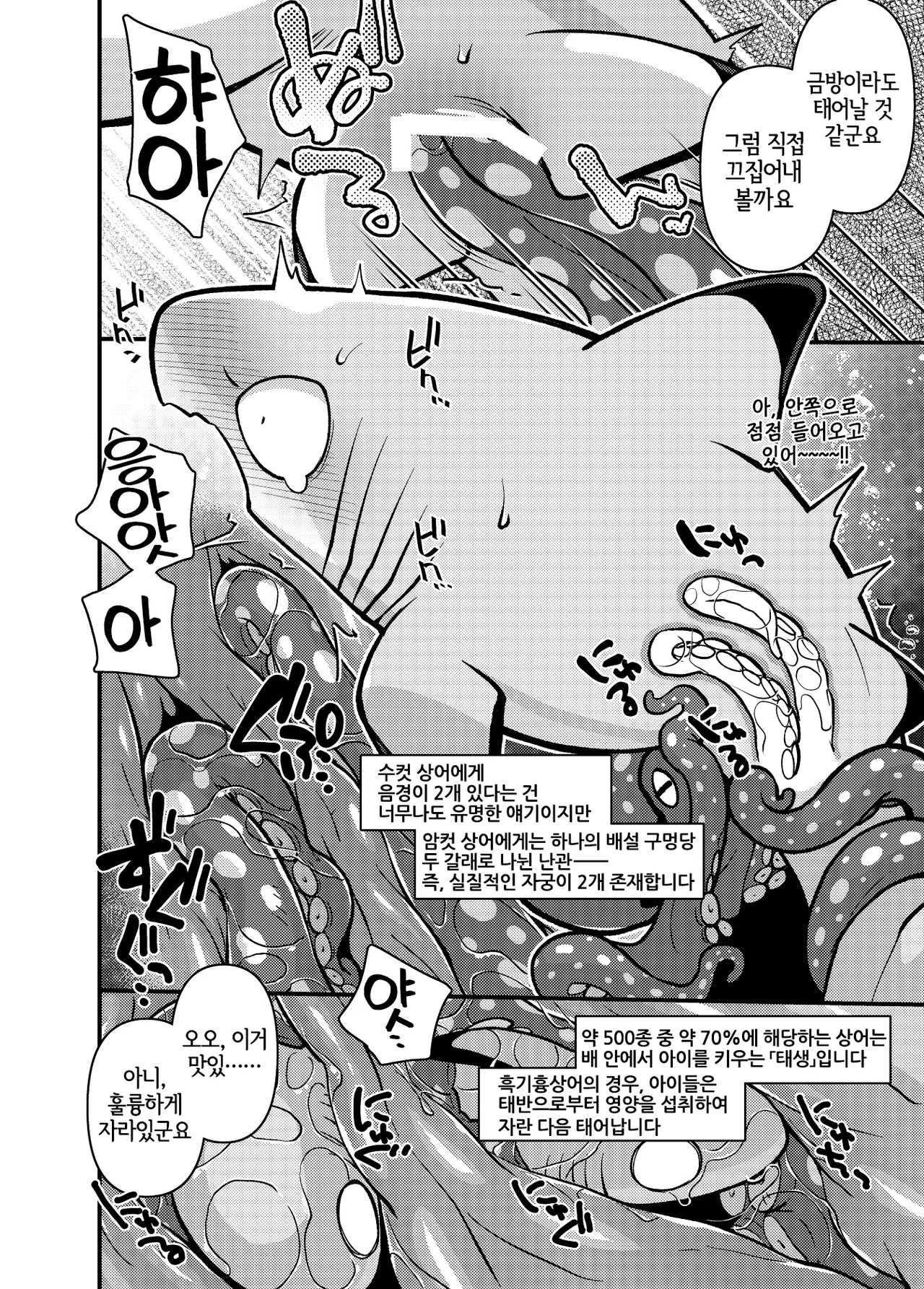 Ika Guerrilla Kageyama SHARKLEWD Korean LWND Digital - Image 9