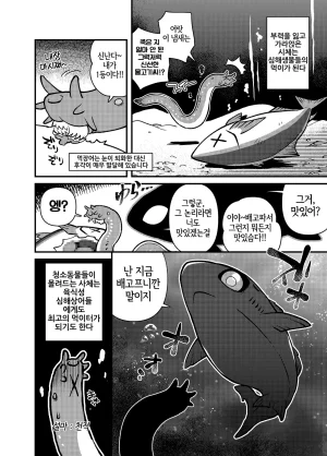 Ika Guerrilla Kageyama SHARKLEWD Korean LWND Digital - Page 13