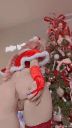 Indigo White - Santa Astolfo - Image 71