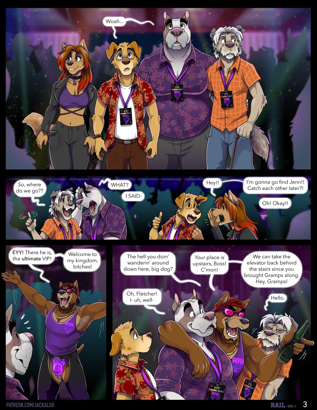 Jackaloo RAIL Ongoing - Image 7