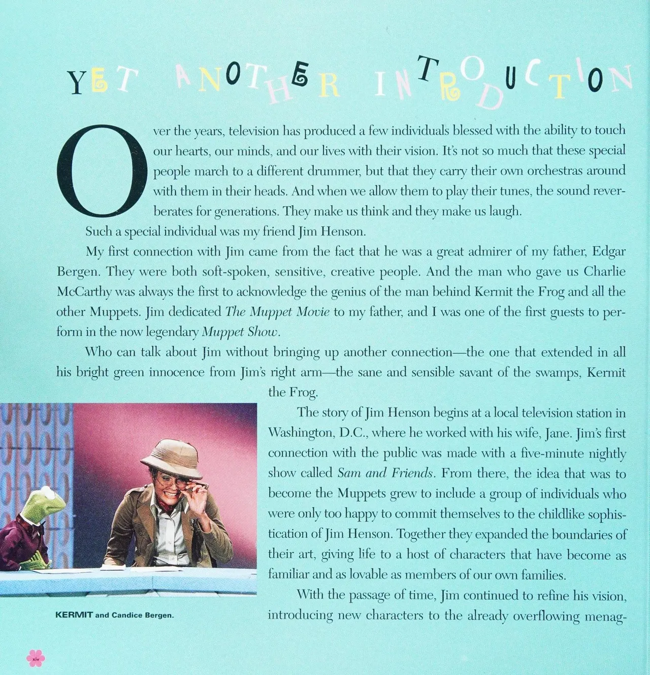 Jim Henson_ The Work - Image 17