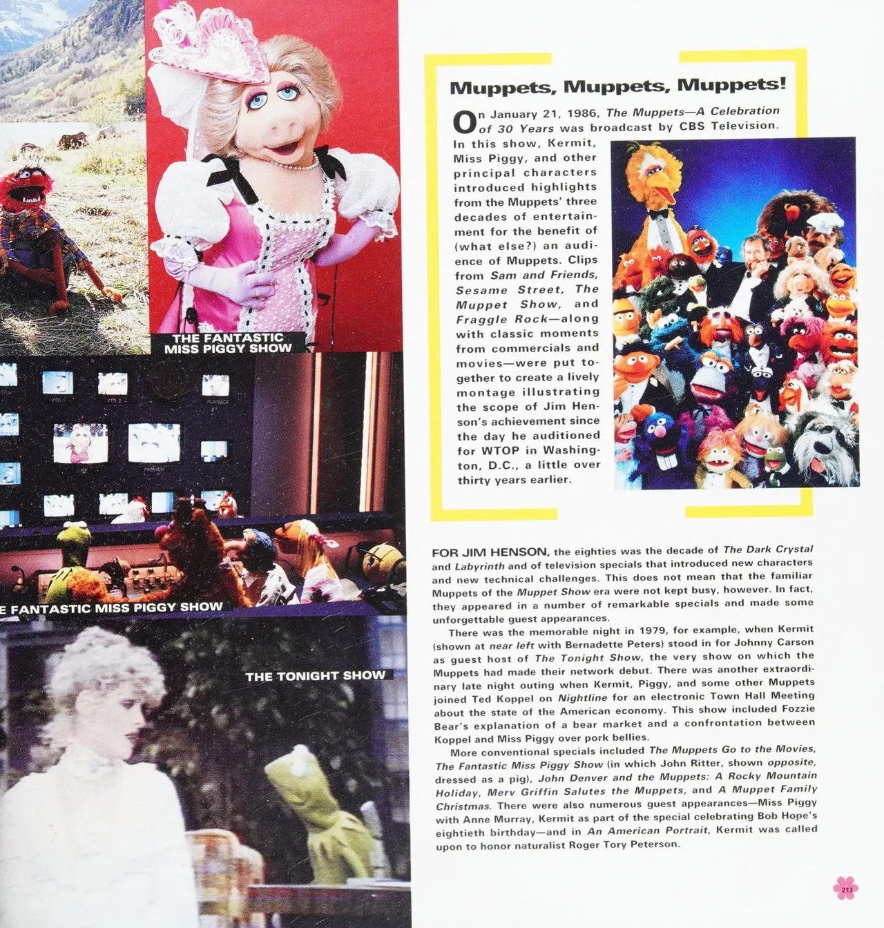 Jim Henson_ The Work - Image 220