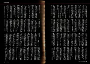 JUNK Kameyoko - Mamasupe CXX ESP - Page 127