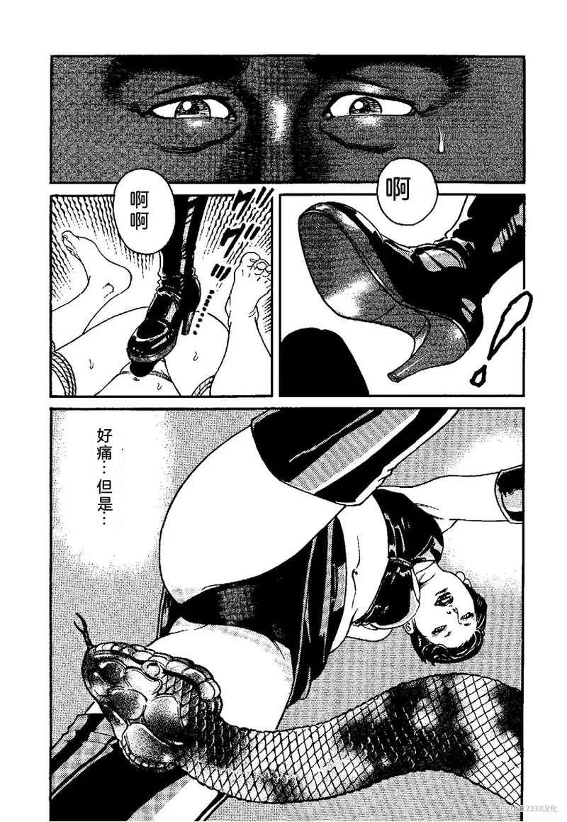 Kano Seisaku x Dan Oniroku Ibun Hana to Hebi Chinese - Image 203